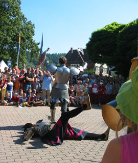 Mittelaltermarkt auf Schloss Ahrensburg