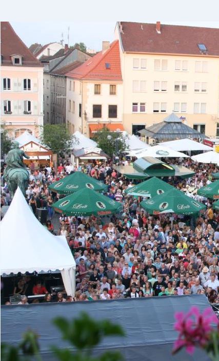 Landauer Sommer, Altstadtfest