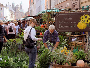 Bauernmarkt in Speyer