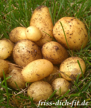 Odenwälder Kartoffelmarkt 2023